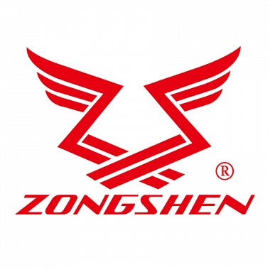 Двигатель бензиновый Zongshen ZS 190 FA2