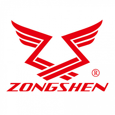 Двигатель бензиновый Zongshen GB 225 (с катушкой освещения)